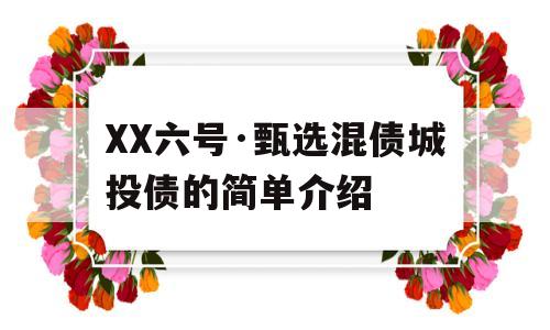 XX六号·甄选混债城投债的简单介绍