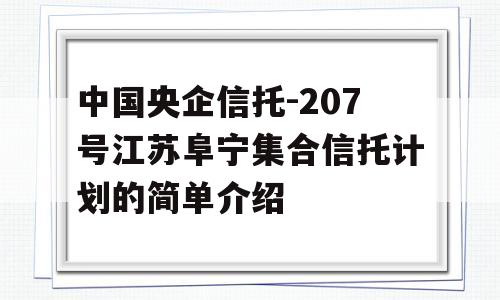 中国央企信托-207号江苏阜宁集合信托计划的简单介绍