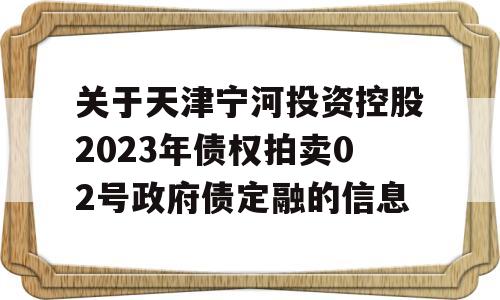 关于天津宁河投资控股2023年债权拍卖02号政府债定融的信息