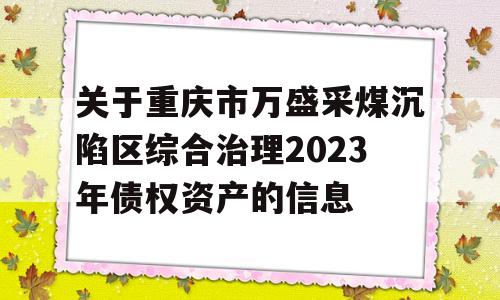 关于重庆市万盛采煤沉陷区综合治理2023年债权资产的信息