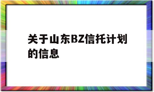 关于山东BZ信托计划的信息