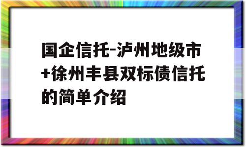 国企信托-泸州地级市+徐州丰县双标债信托的简单介绍