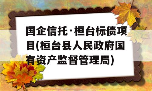 国企信托·桓台标债项目(桓台县人民政府国有资产监督管理局)