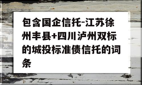 包含国企信托-江苏徐州丰县+四川泸州双标的城投标准债信托的词条