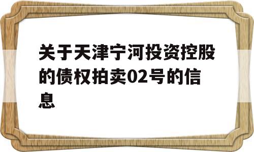 关于天津宁河投资控股的债权拍卖02号的信息