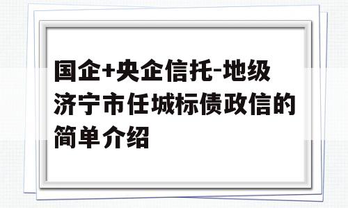 国企+央企信托-地级济宁市任城标债政信的简单介绍