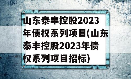 山东泰丰控股2023年债权系列项目(山东泰丰控股2023年债权系列项目招标)