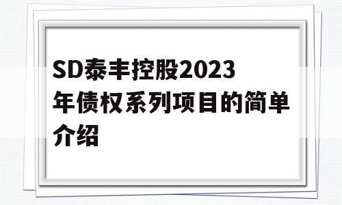 SD泰丰控股2023年债权系列项目的简单介绍