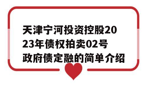 天津宁河投资控股2023年债权拍卖02号政府债定融的简单介绍