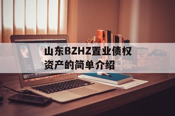 山东BZHZ置业债权资产的简单介绍