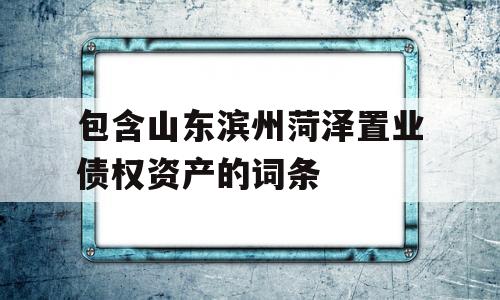 包含山东滨州菏泽置业债权资产的词条