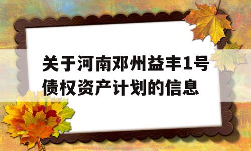 关于河南邓州益丰1号债权资产计划的信息