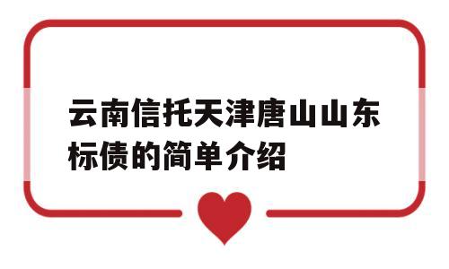 云南信托天津唐山山东标债的简单介绍