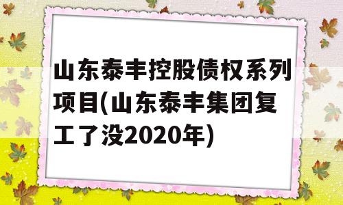 山东泰丰控股债权系列项目(山东泰丰集团复工了没2020年)