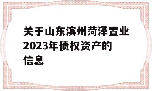 关于山东滨州菏泽置业2023年债权资产的信息