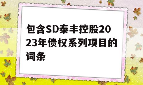 包含SD泰丰控股2023年债权系列项目的词条