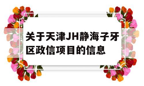 关于天津JH静海子牙区政信项目的信息