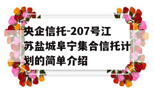 央企信托-207号江苏盐城阜宁集合信托计划的简单介绍