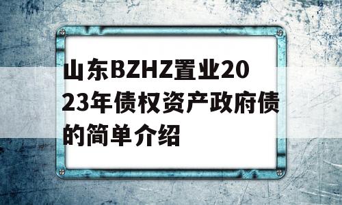 山东BZHZ置业2023年债权资产政府债的简单介绍