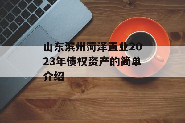 山东滨州菏泽置业2023年债权资产的简单介绍