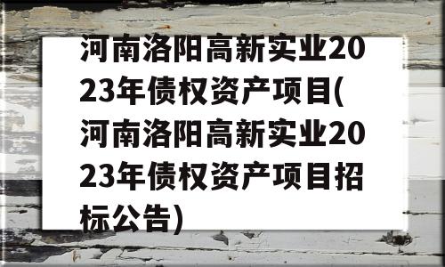 河南洛阳高新实业2023年债权资产项目(河南洛阳高新实业2023年债权资产项目招标公告)