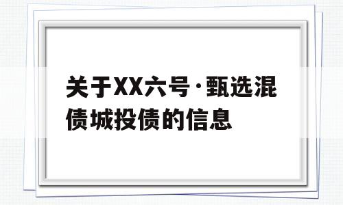 关于XX六号·甄选混债城投债的信息