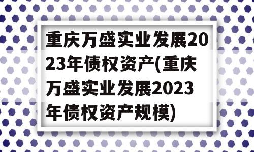 重庆万盛实业发展2023年债权资产(重庆万盛实业发展2023年债权资产规模)