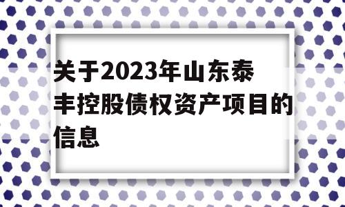 关于2023年山东泰丰控股债权资产项目的信息