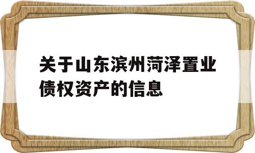 关于山东滨州菏泽置业债权资产的信息