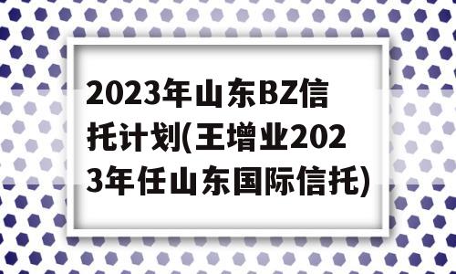 2023年山东BZ信托计划(王增业2023年任山东国际信托)