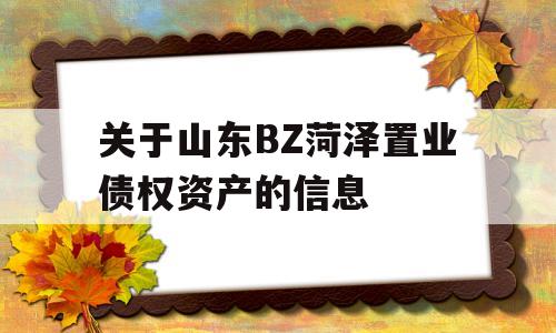 关于山东BZ菏泽置业债权资产的信息