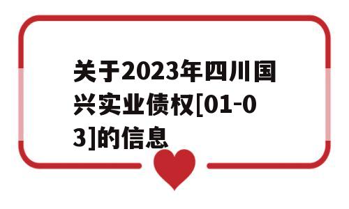 关于2023年四川国兴实业债权[01-03]的信息