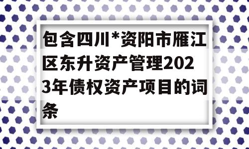 包含四川*资阳市雁江区东升资产管理2023年债权资产项目的词条