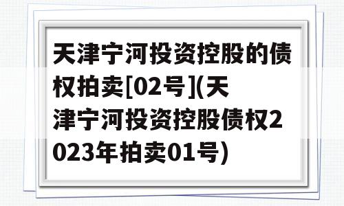 天津宁河投资控股的债权拍卖[02号](天津宁河投资控股债权2023年拍卖01号)