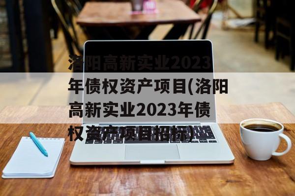 洛阳高新实业2023年债权资产项目(洛阳高新实业2023年债权资产项目招标)