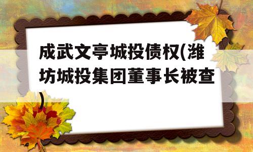 成武文亭城投债权(潍坊城投集团董事长被查)