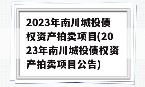 2023年南川城投债权资产拍卖项目(2023年南川城投债权资产拍卖项目公告)