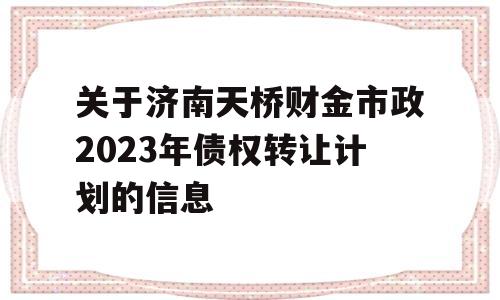 关于济南天桥财金市政2023年债权转让计划的信息