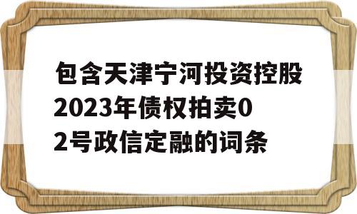 包含天津宁河投资控股2023年债权拍卖02号政信定融的词条