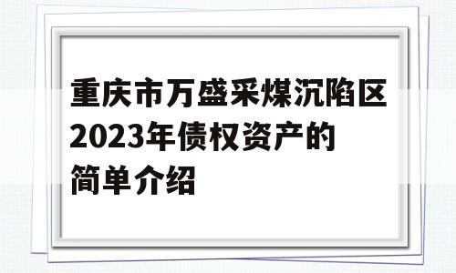 重庆市万盛采煤沉陷区2023年债权资产的简单介绍