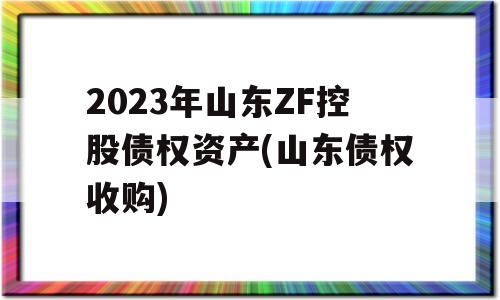 2023年山东ZF控股债权资产(山东债权收购)