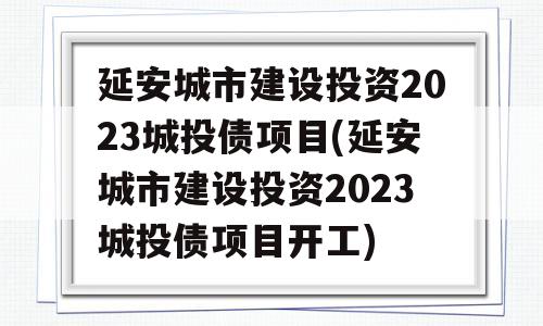 延安城市建设投资2023城投债项目(延安城市建设投资2023城投债项目开工)