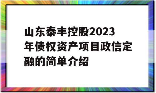 山东泰丰控股2023年债权资产项目政信定融的简单介绍