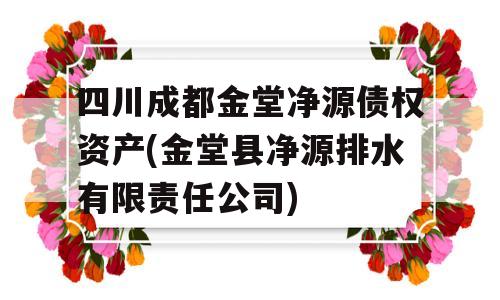 四川成都金堂净源债权资产(金堂县净源排水有限责任公司)