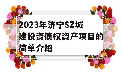 2023年济宁SZ城建投资债权资产项目的简单介绍