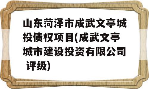 山东菏泽市成武文亭城投债权项目(成武文亭城市建设投资有限公司 评级)