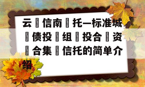 云‮信南‬托—标准城‮债投‬组‮投合‬资‮合集‬信托的简单介绍