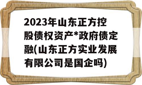 2023年山东正方控股债权资产*政府债定融(山东正方实业发展有限公司是国企吗)