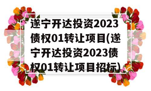 遂宁开达投资2023债权01转让项目(遂宁开达投资2023债权01转让项目招标)