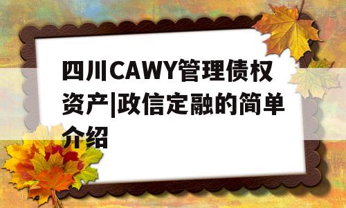 四川CAWY管理债权资产|政信定融的简单介绍